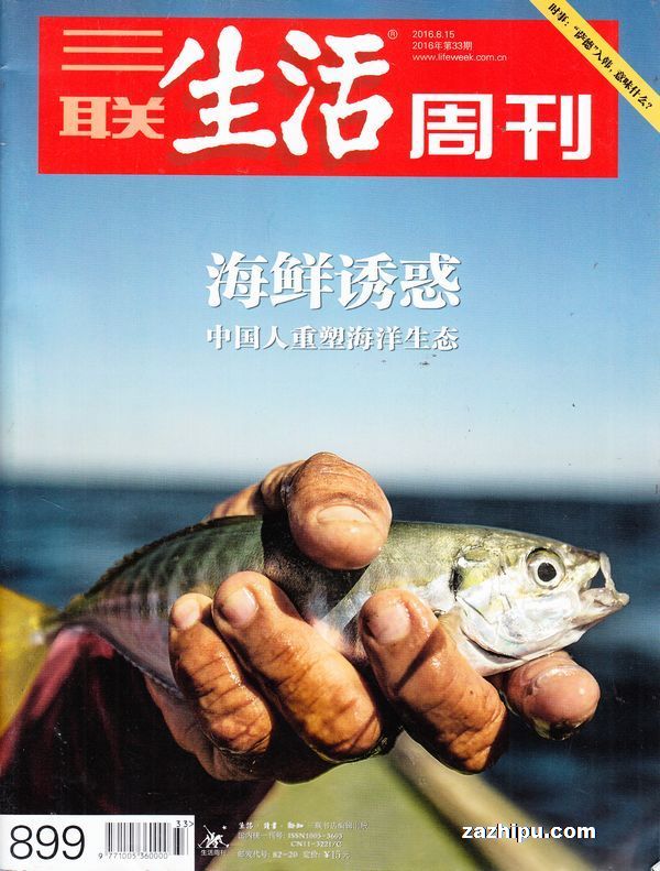 三联生活周刊2016年8月第3期-三联生活周刊杂志封面,内容精彩试读