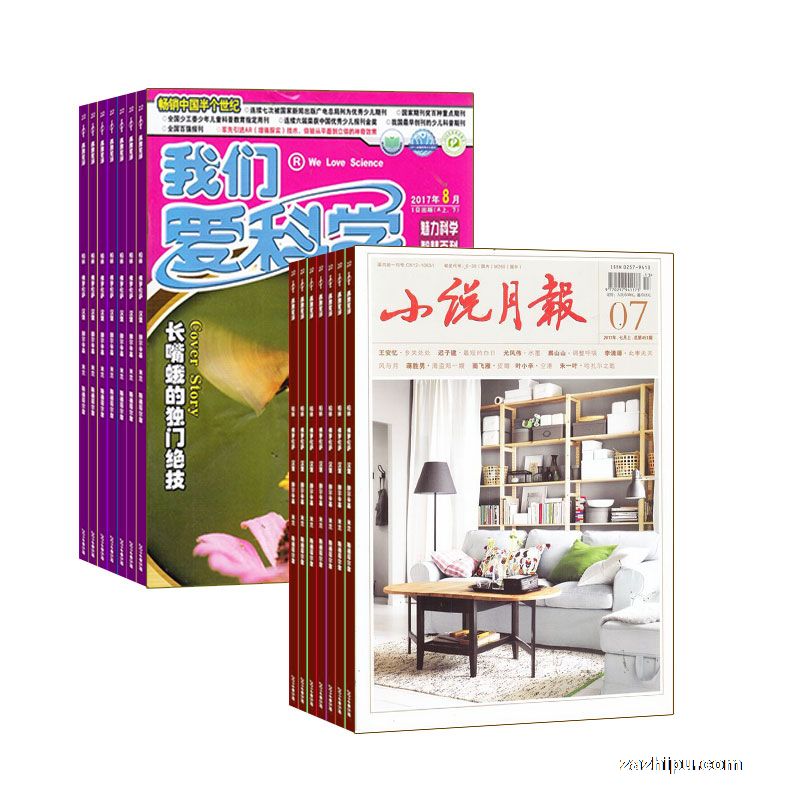 小说月报(1年共12期)+我们爱科学(少年版)(1年共12期)两刊组合订阅(杂志订阅)