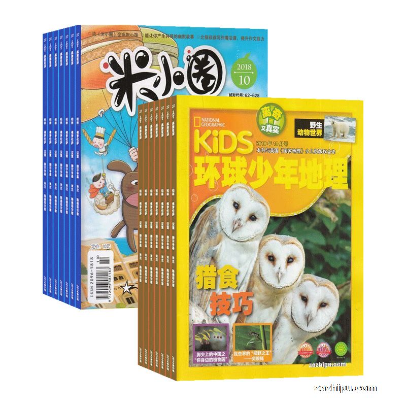 СȦ1깲12ڣ+KiDS1깲12ڣ־)