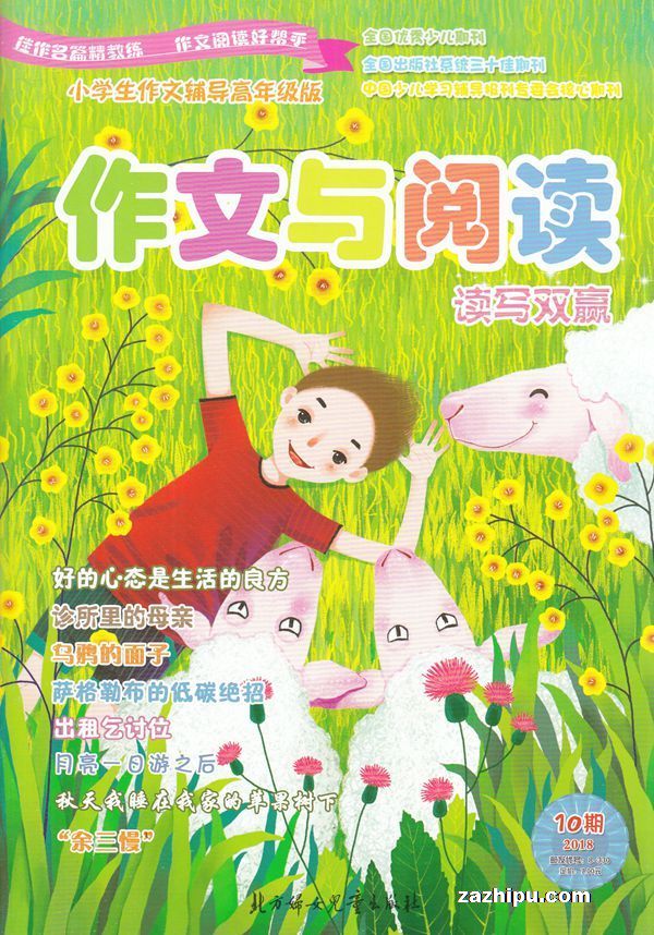 小学生作文与阅读-2018-07-08-试读-小学生作文与阅读杂志封面,内容