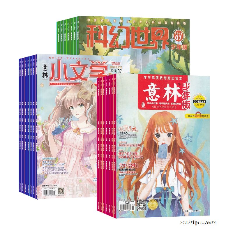 棨1깲24ڣ+Сѧ1깲12ڣ+FEIƻ棨1깲12ڣ