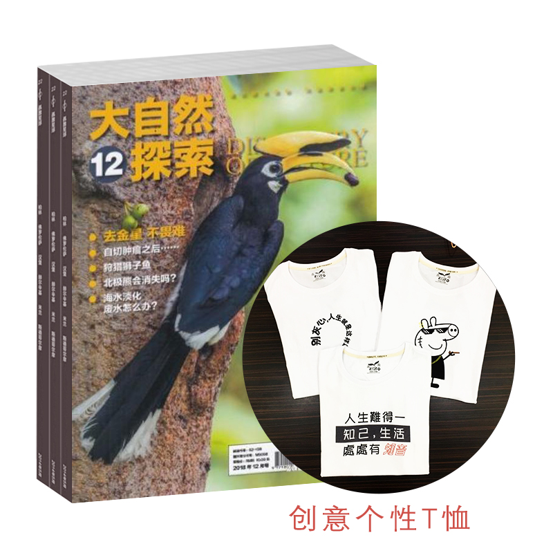 Ȼ̽1깲12ڣ+T