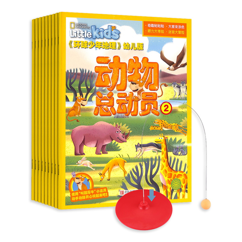 ׶棨1깲12ڣ+˹ƹѵȫҳװɫ