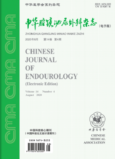 中华腔镜泌尿外科杂志(电子版):原中国腔镜泌尿外科(1年共6期)