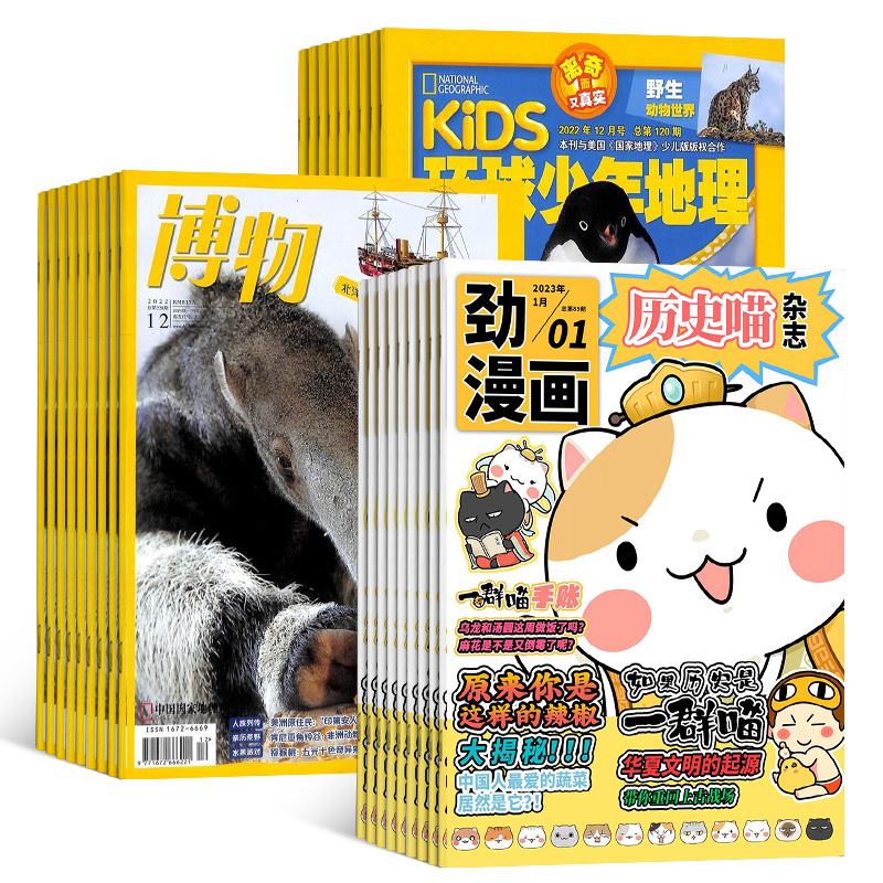 ʷ++KiDS1깲12ڣ϶