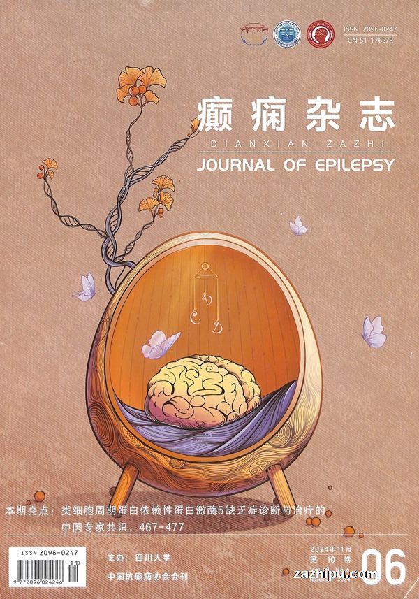 癫痫杂志(1年共6期)