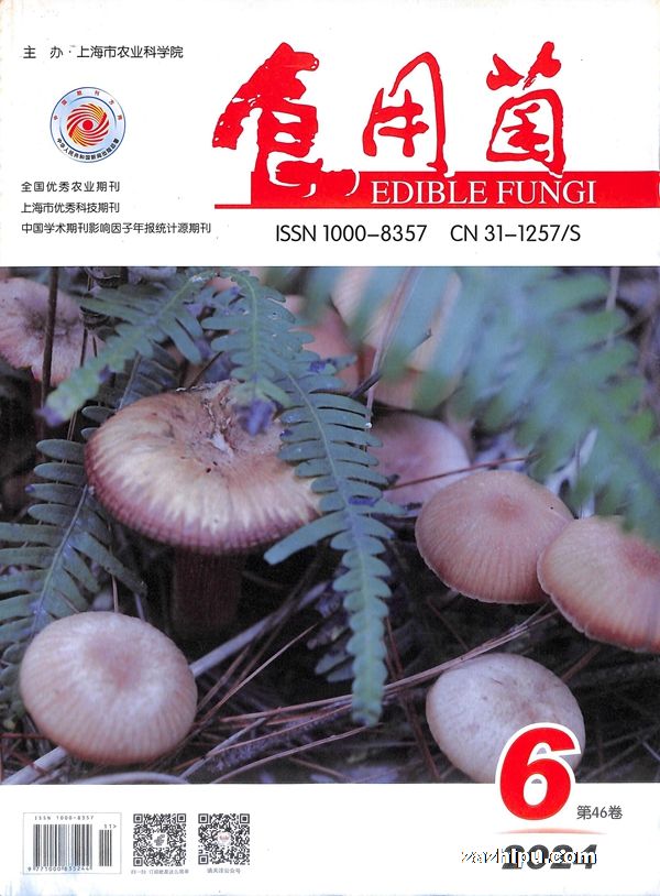 ʳþ1깲6ڣ