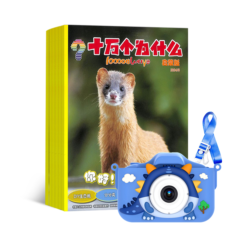 ʮΪʲôѧ(1깲12)+