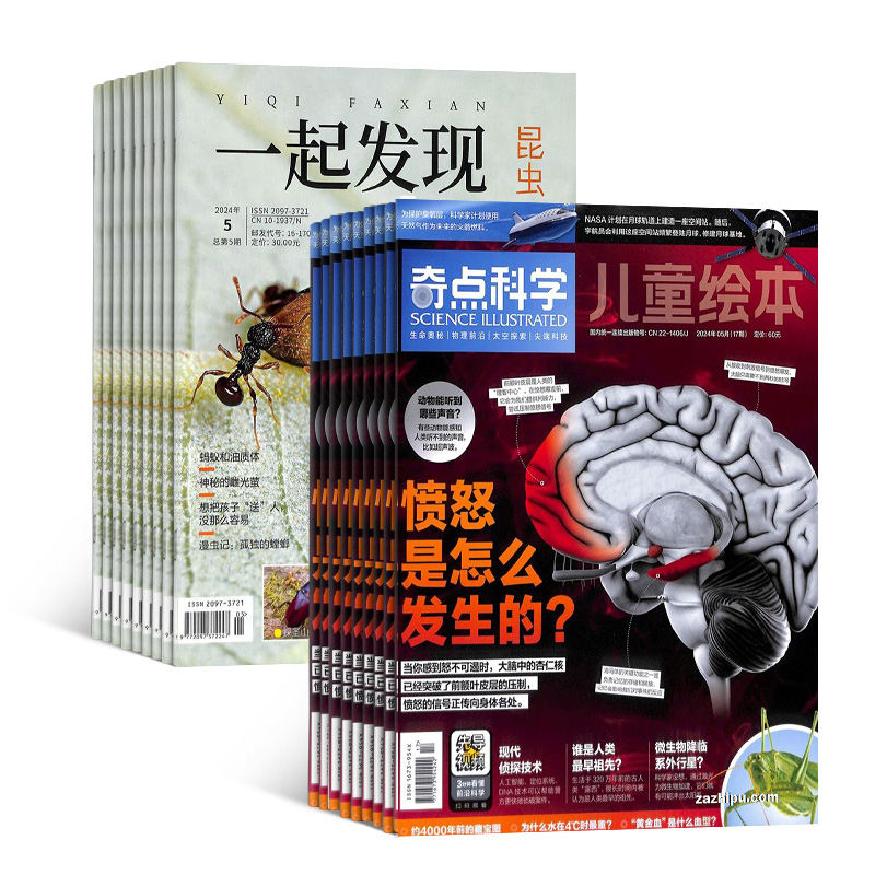 ꣨1깲12ڣ+һ棨1깲12ڣ+