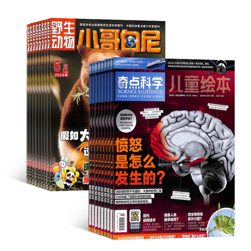 ꣨1깲12ڣ+СҰﻭ(1깲12ڣ+AIĶ֣϶ģ