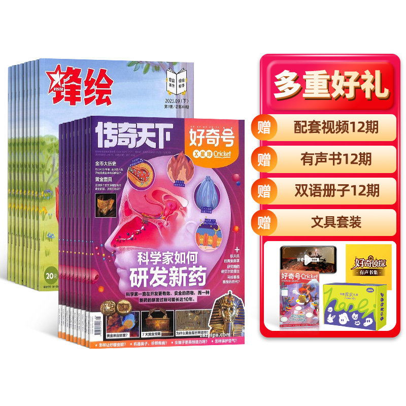 好奇号(1年共12期)+锋绘(1年共23期)(组合订阅)