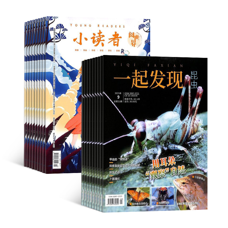 小读者阅世界(1年共12期)+一起发现昆虫(1年共12期)组合订阅