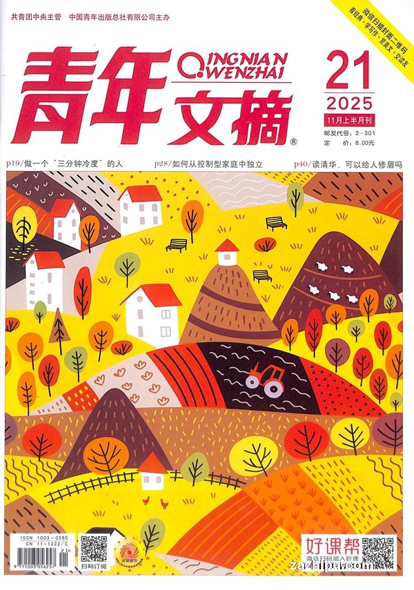 青年文摘(1年共24期)(杂志订阅)