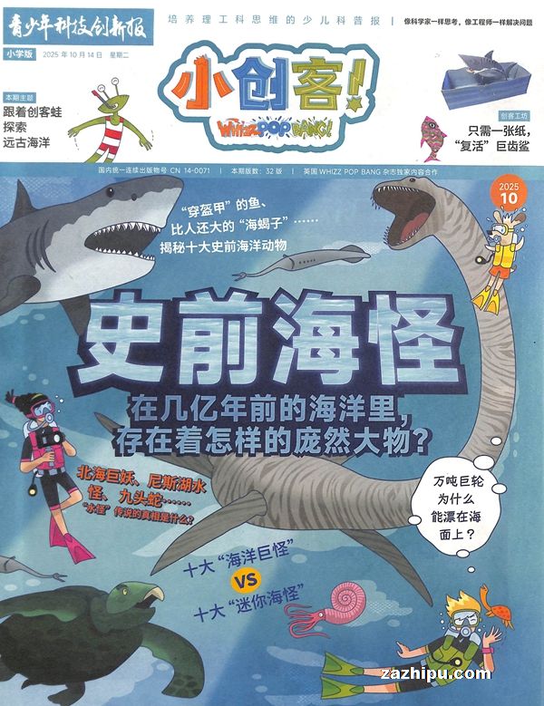 Ԥ20256СͣWhizzPopBang־Ȩ¹1ڣ־ģ