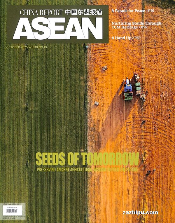 й˱CHINA  REPORT  ASEANӢİ 1깲12ڣ־ģ