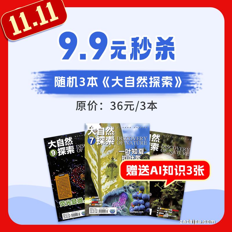 大自然探索精选过刊随机3本