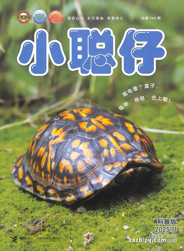 ֻ202510СȻհ棨1깲12ڣ