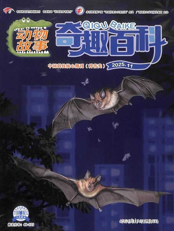 Ȥٿƶ£1깲12ڣ־ģ