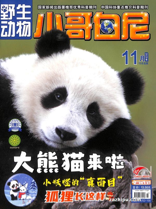 202211ҰСᣩ깲6ڣ־ģZ