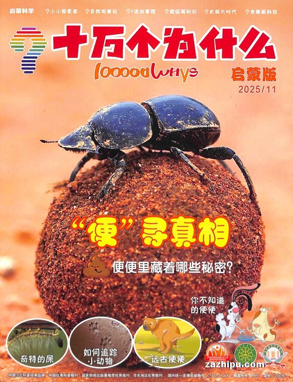 ʮΪʲôѧɣԭ ʮΪʲôɰ(깲6)־ģ