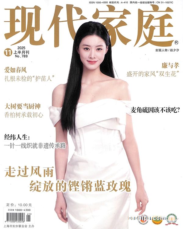 现代家庭(1年共24期)(杂志订阅)