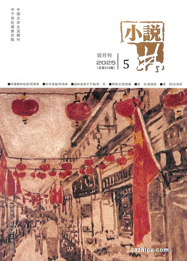 小说林(1年共6期)