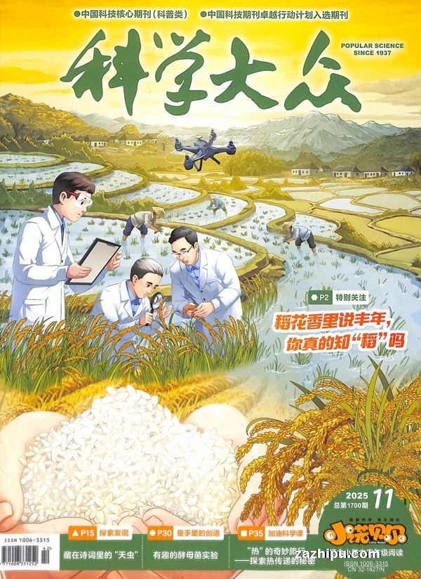 科学大众小诺贝尔小学中高年级(1年共12期)(杂志订阅)