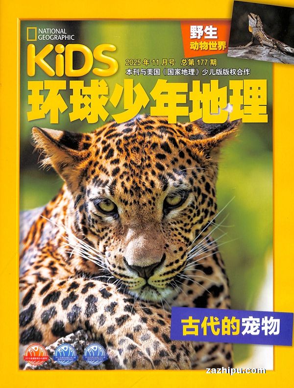KiDS环球少年地理(与美国国家地理少儿版版权合作)(1年共12期)(杂志订阅)