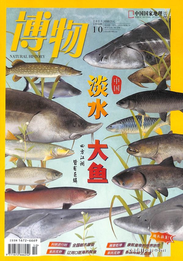 现货测试博物订7期