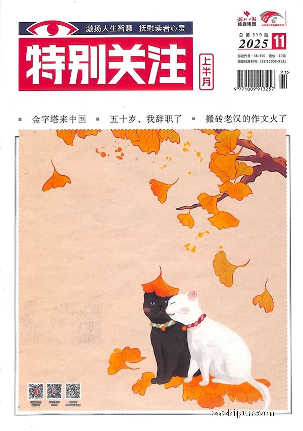 特别关注(1年共12期)(杂志订阅)