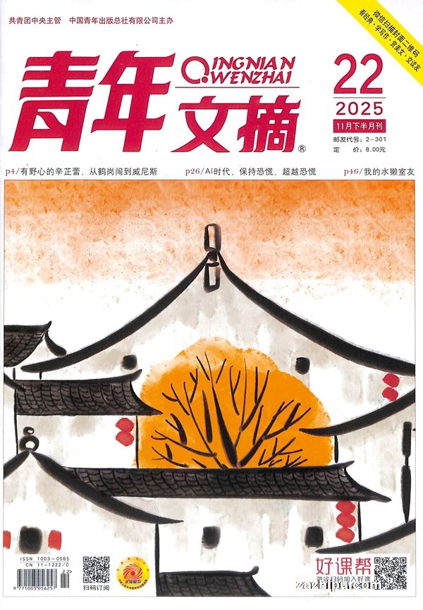 青年文摘(1年共24期)(杂志订阅)
