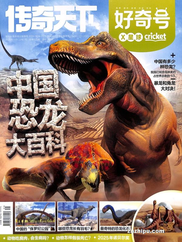 ʡţ1깲12ڣ36Cricket MediaȨ־ģ