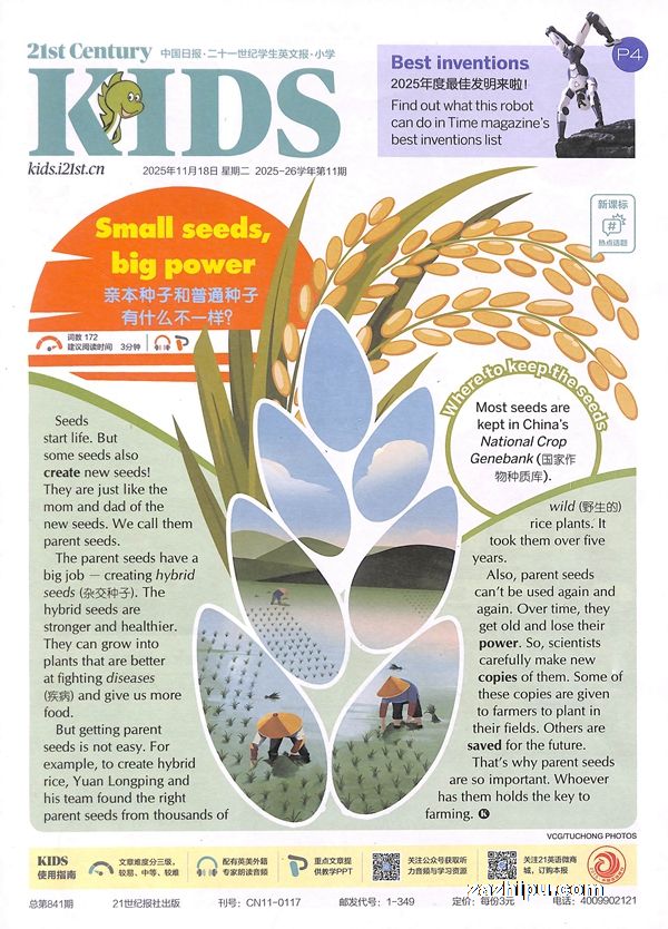 ¼20253𶩶ʮһѧӢıСѧ1깲40ڣ־ģˮ̶