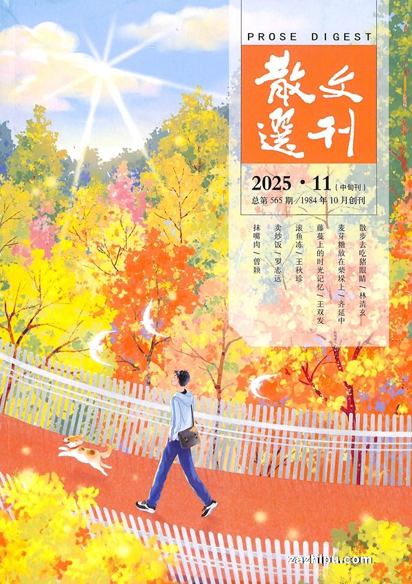 散文选刊选刊版(中旬刊)(1年共12期)(杂志订阅)