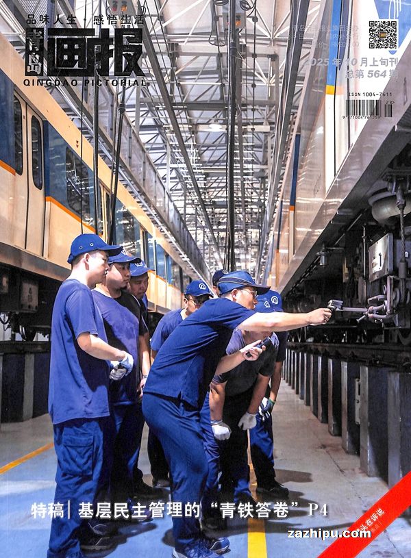 青岛画报(1年共12期)