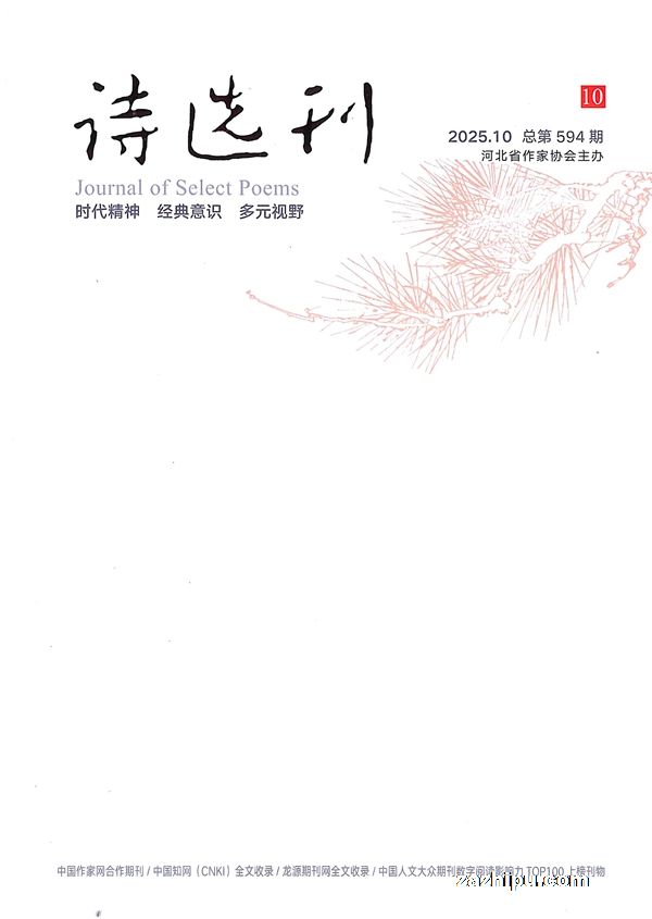 诗选刊(文学月刊)(1年共12期))