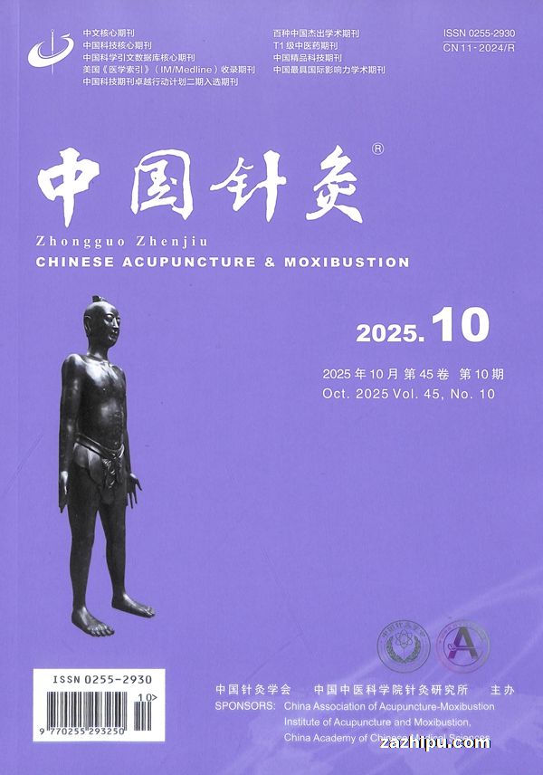 中国针灸(1年共12期)
