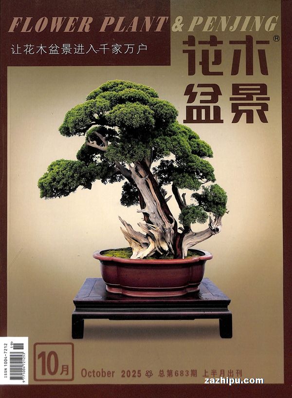 花木盆景(盆景赏石版)(1年共12期)