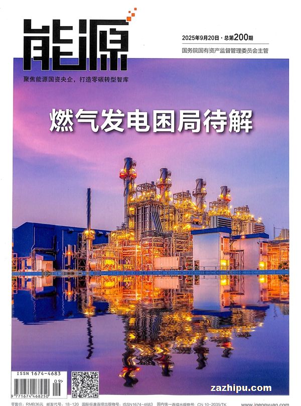 能源(1年共12期)