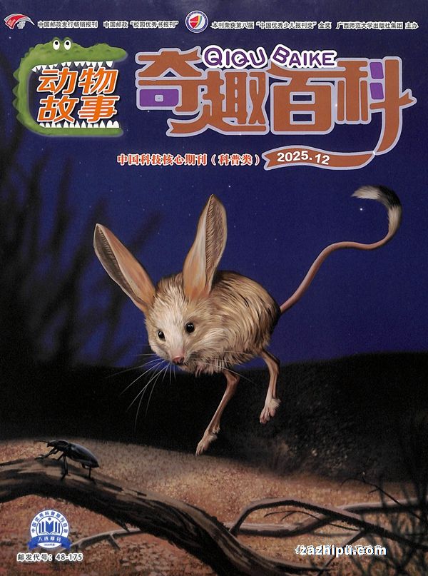 奇趣百科动物故事(1年共12期)(杂志订阅)