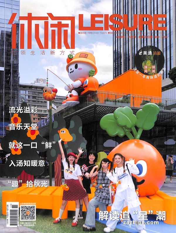 休闲(1年共12期)