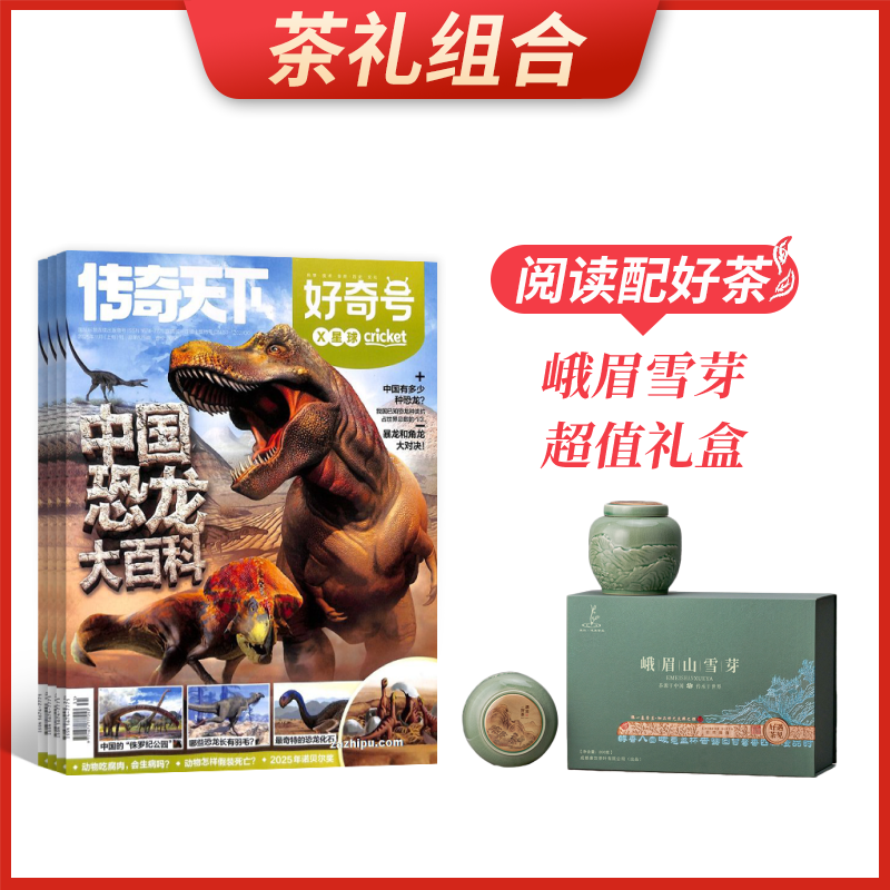 ϡţ1깲12ڣ+üѩѿֵ