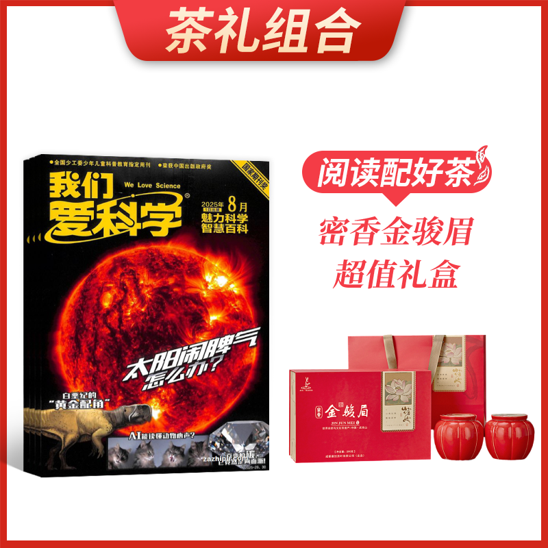 ϡǰѧ棨1깲12ڣ+üֵ