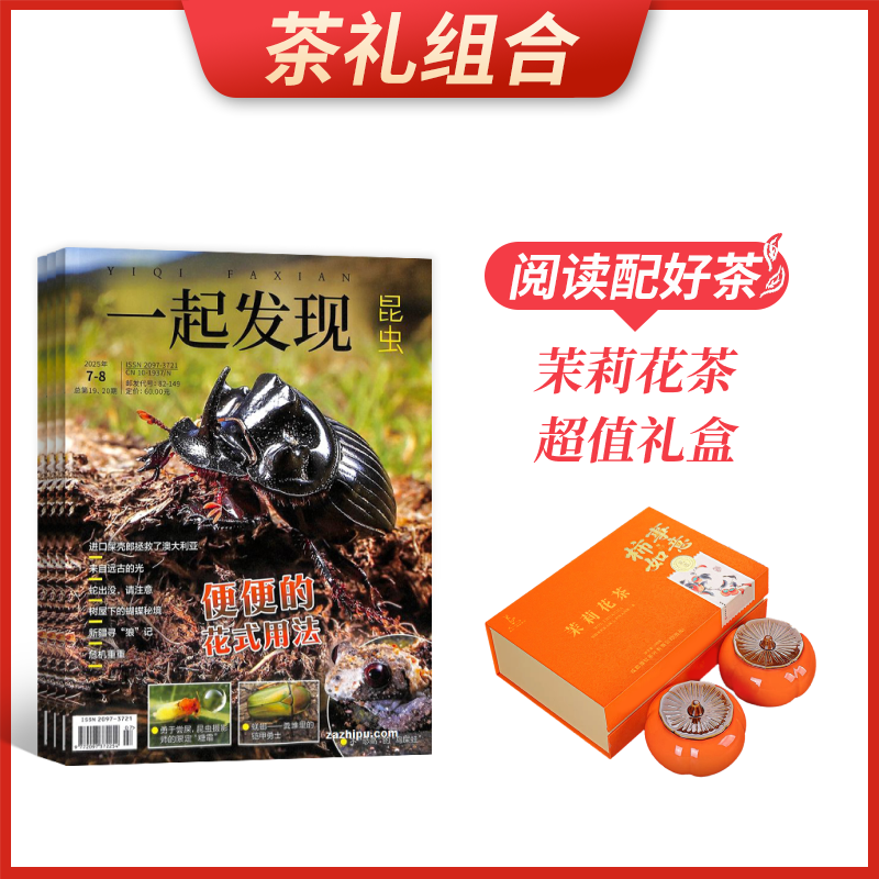 ϡһ棨1깲12ڣ+򻨲賬ֵ