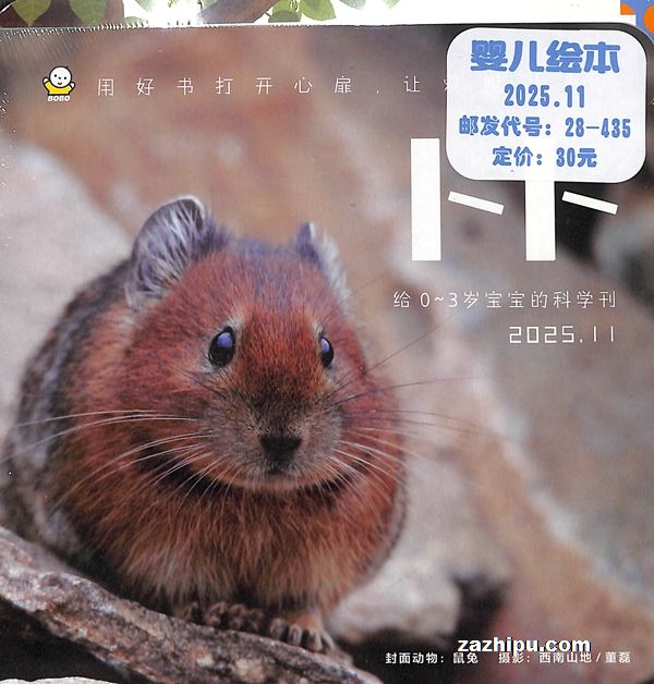 ޲ÿ1ۺϿ+1Ӥֽ飩1깲12(ԤԼȫ)