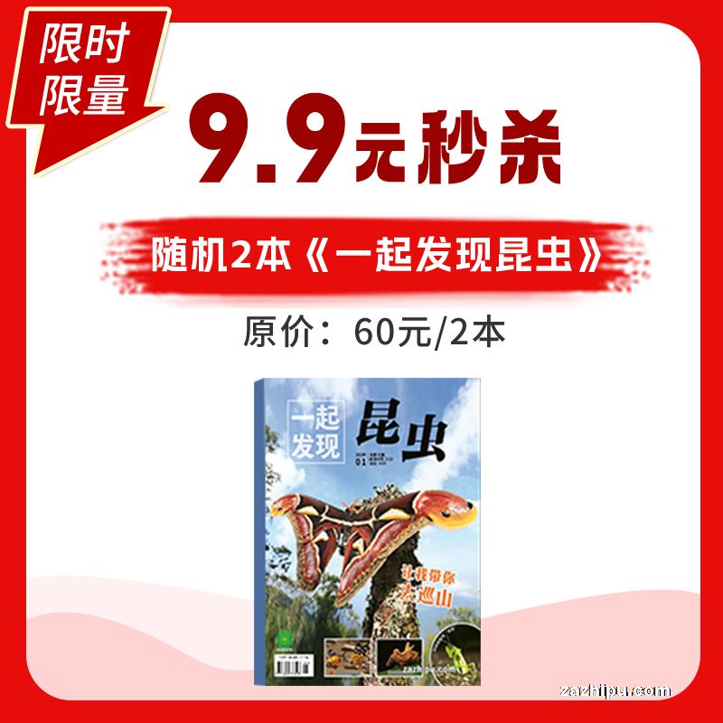 一起发现昆虫2023年随机2本