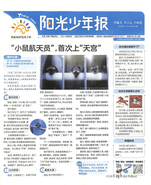 3人团购2025年11起订阳光少年报(1年共42期)(杂志订阅)(期期包邮)