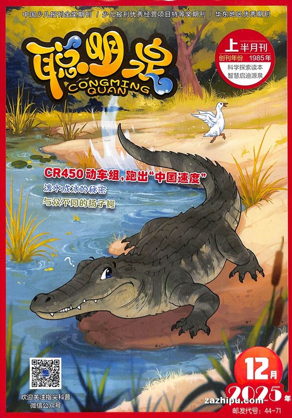 聪明泉上半月刊(1季度共3期)