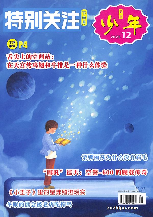 特别关注少年(1年共12期)(杂志订阅)