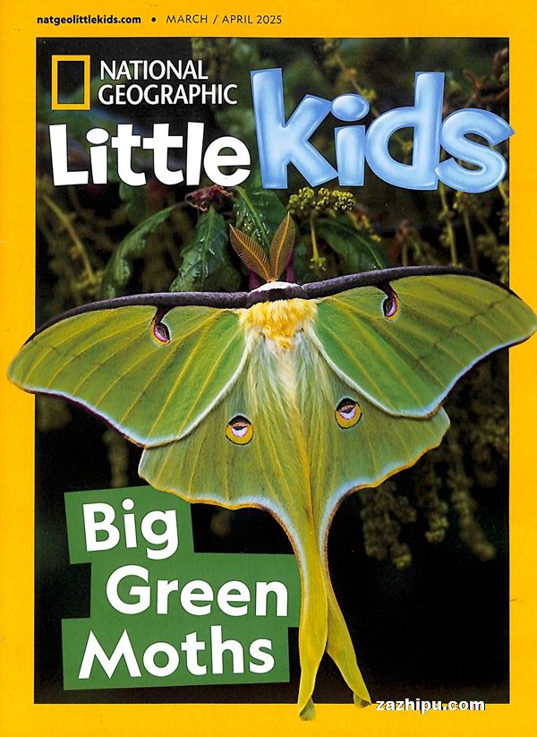 ҵ׶3-6꣨Ӣԭ棩National Geographic  Little Kids1깲6ڣ־ģ